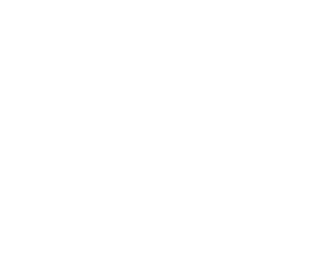 titulo-raize