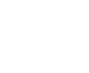 TITULO-RAV4